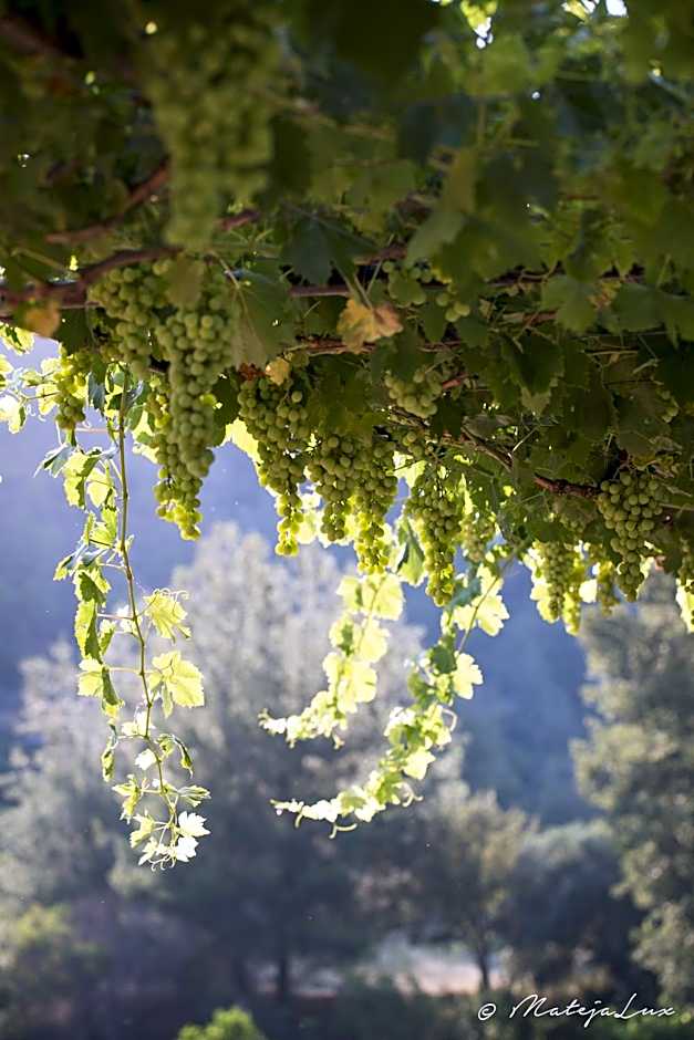Ambelikos Traditional Agrohotel