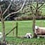 Oakenholt Farm Bed and Breakfast