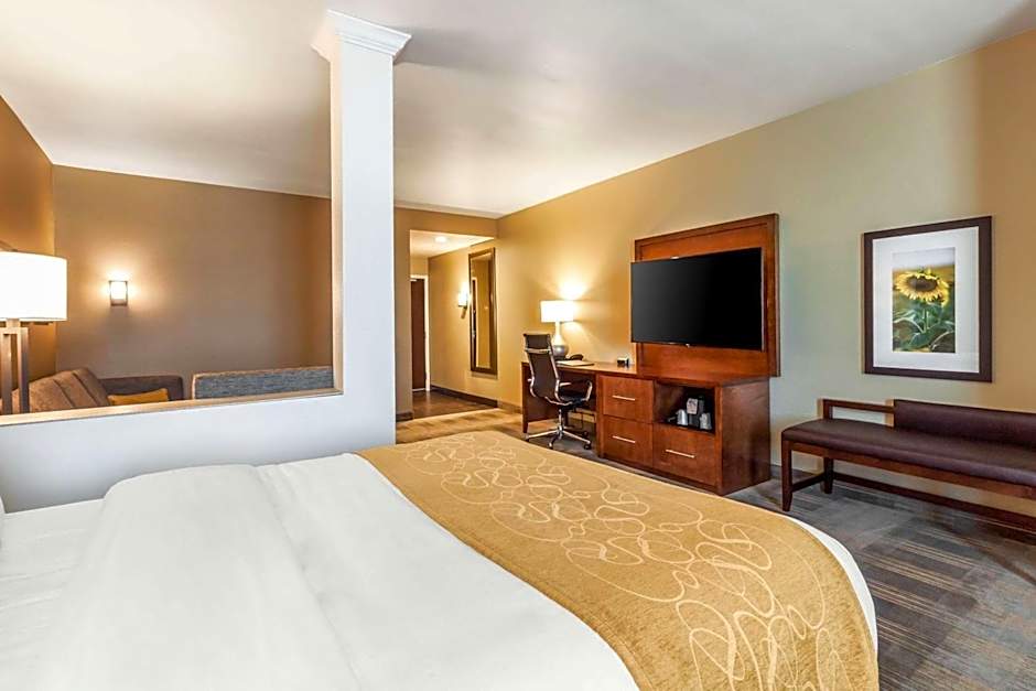 Comfort Suites University