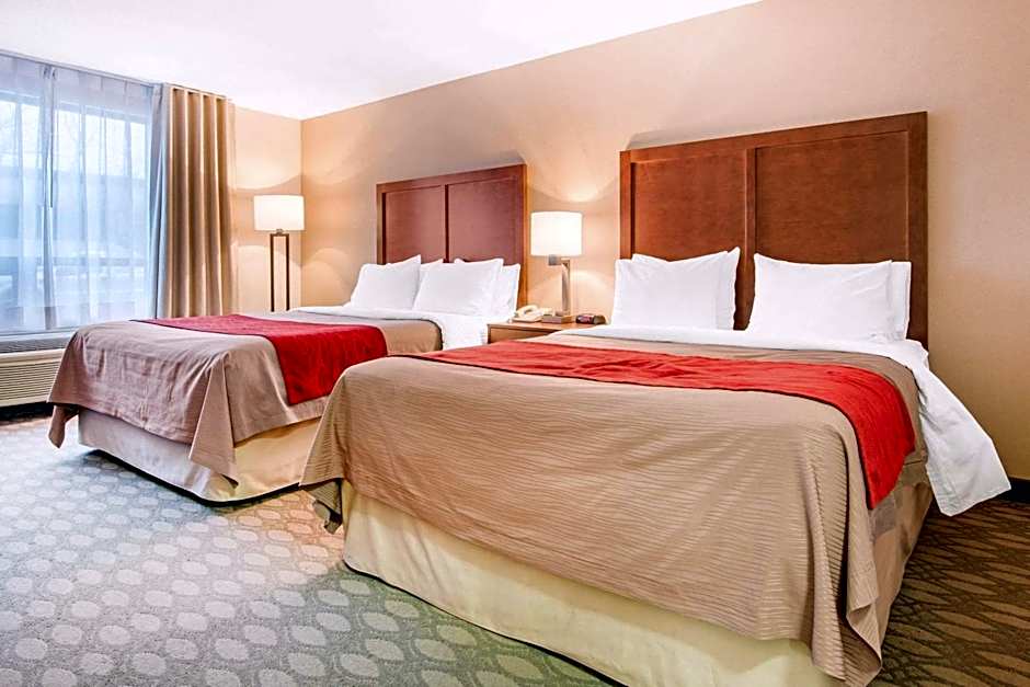Comfort Inn Fallsview