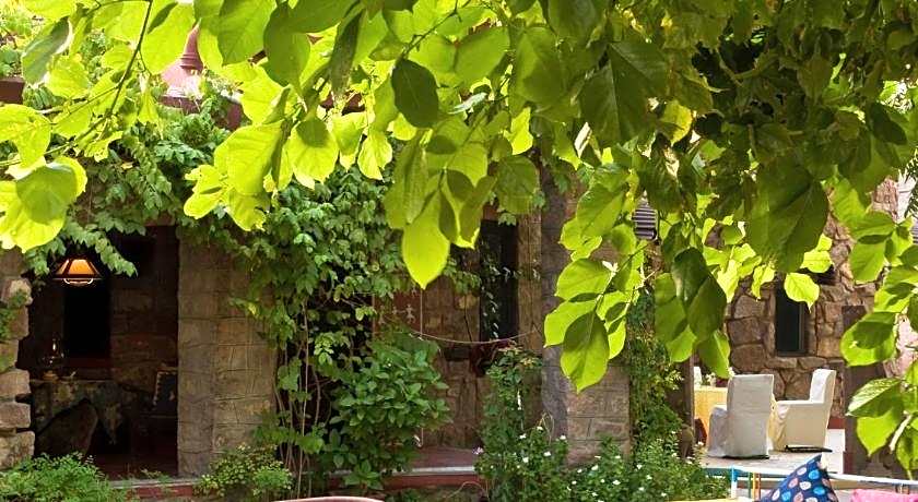 The Mandore - a leafy resort