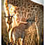Thali Thali Game Lodge