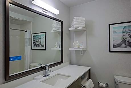 1 King Bed Nonsmoking