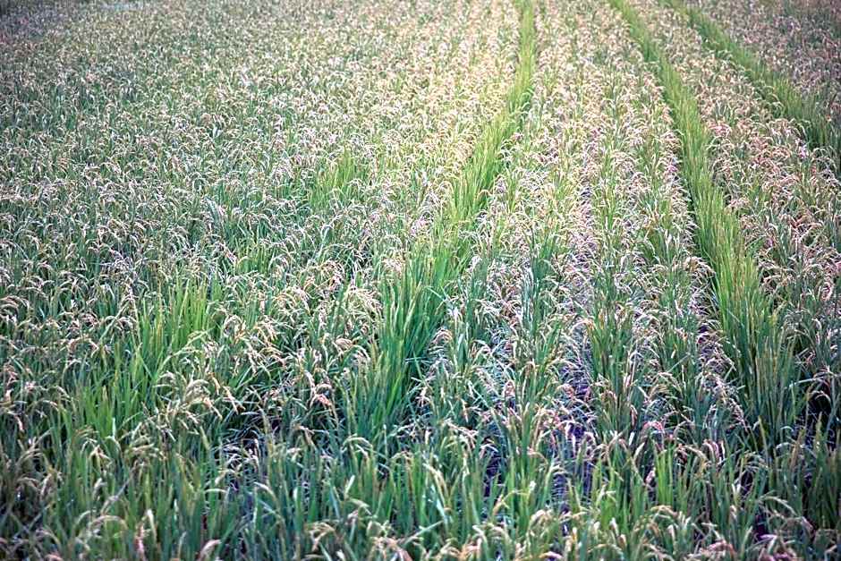 LA TERRA NAGANOーVacation STAY 80689v