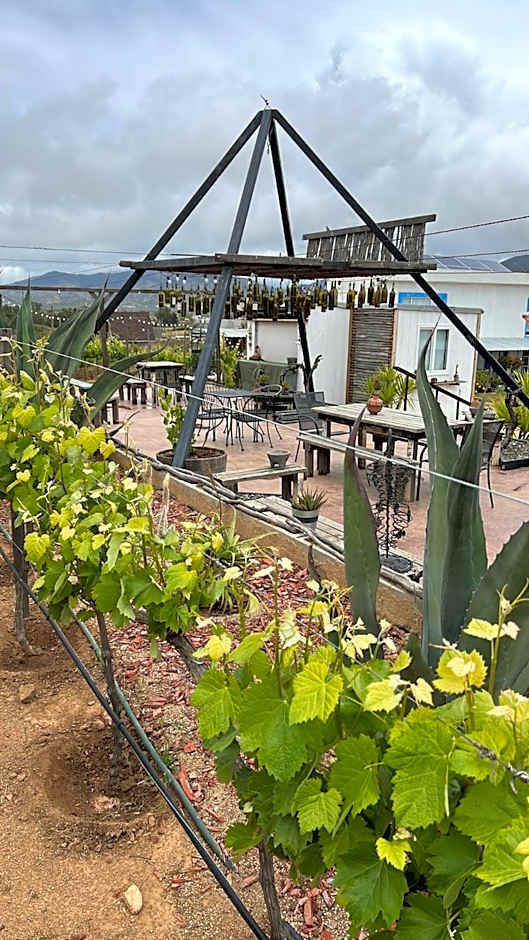 Santerra, Valle de Guadalupe