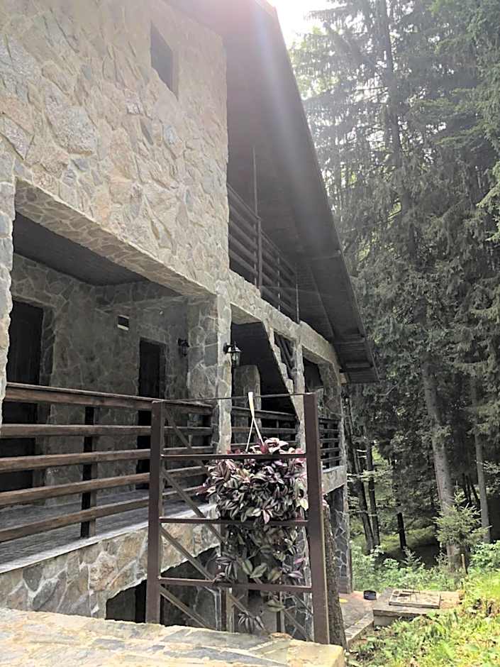 Cabana Zimbru Transfagarasan