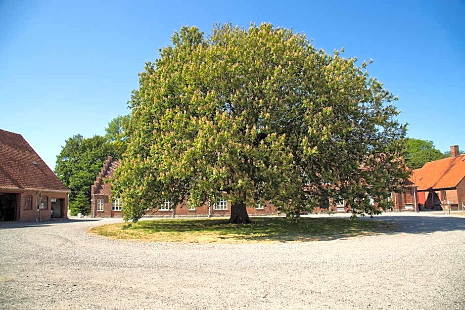 Bellinge House
