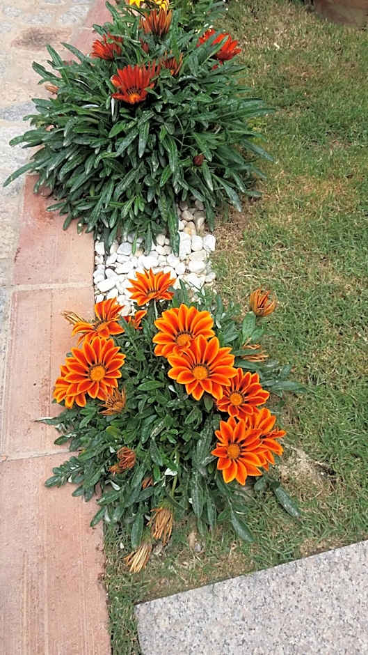 Hotel Sa Cralla Villasimius