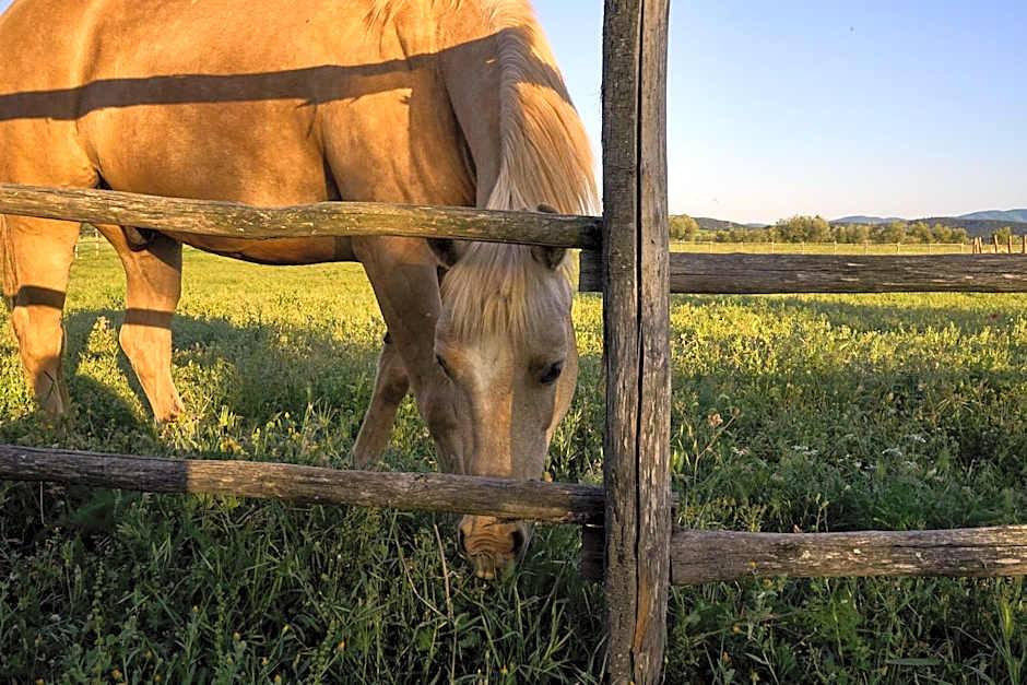 Agriturismo Tesorino