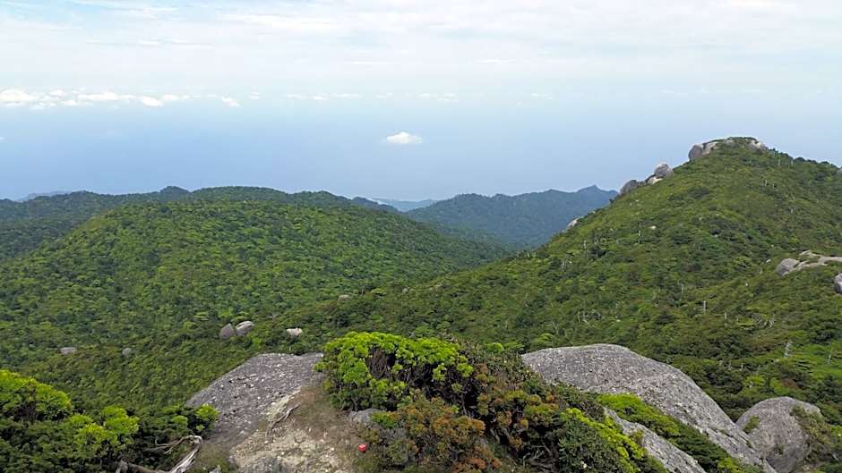 Minnsyuku Yakushimaya