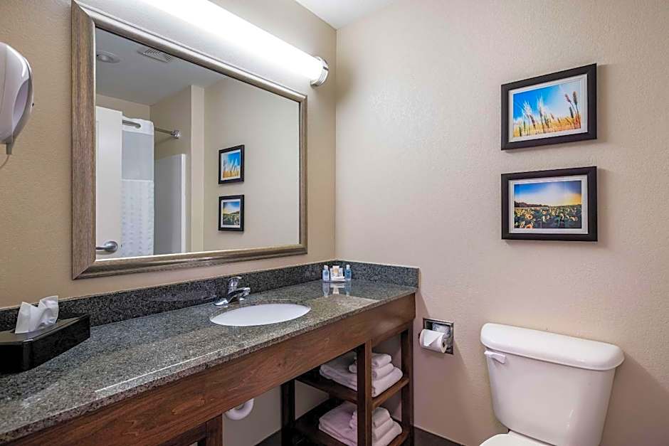 Comfort Inn Bonner Springs Kansas City