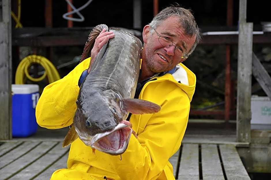 Sotra Rorbusenter