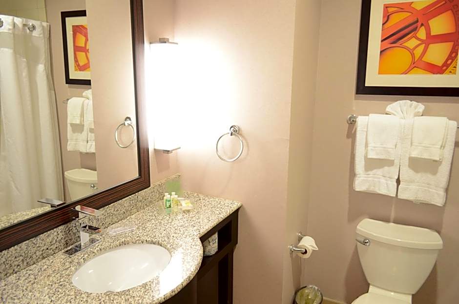 Holiday Inn & Suites Houston West - Westway Park By IHG