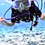 PamAnilao and Padoy's Dive Camp