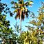 Hakuna Majiwe Beach Resort