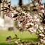 Matfen Hall Hotel and Golf - Outstanding New Spa Opening September 15th
