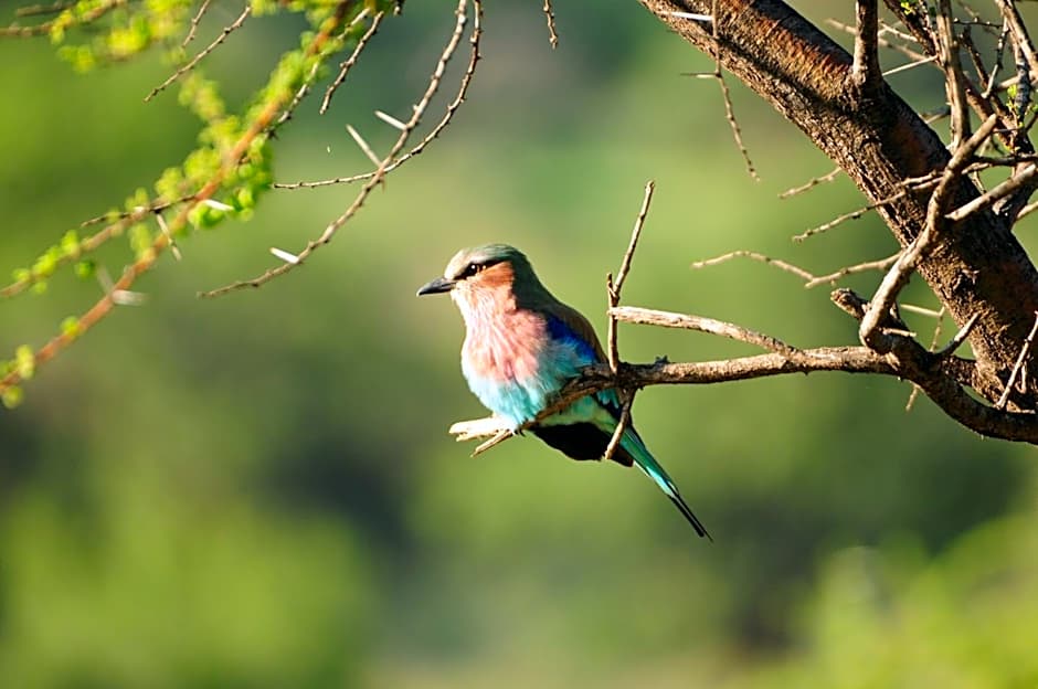 Morokolo Safari Lodge Self-catering