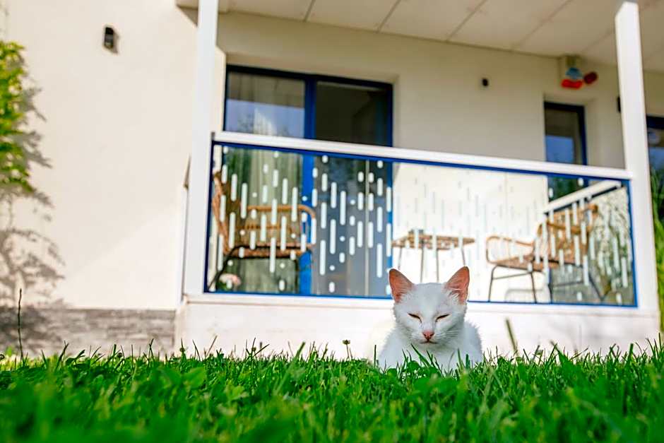 WPO - WILD PIKE OASIS