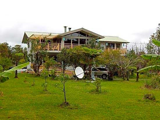 Fern Forest Getaway