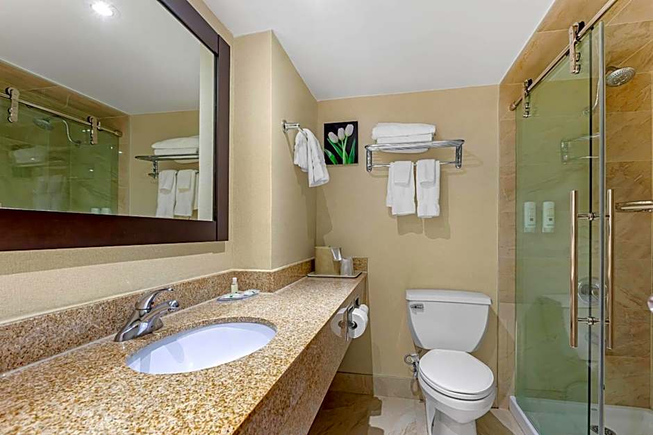 Quality Inn & Suites Brampton