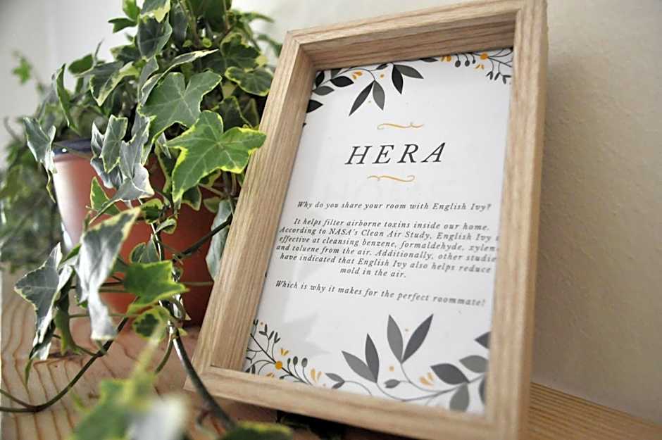 Green Element Guesthouse