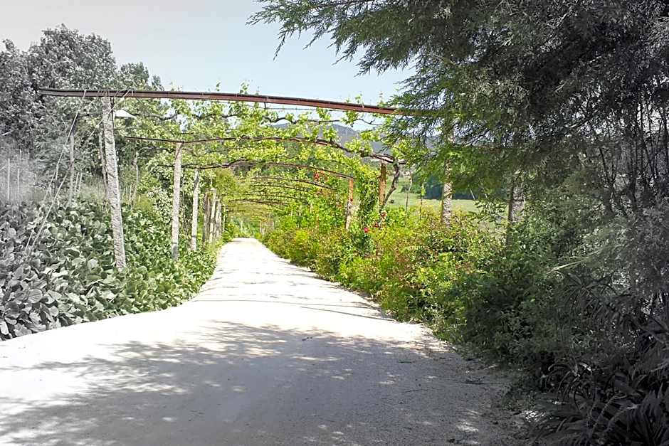 Lousada Country Hotel