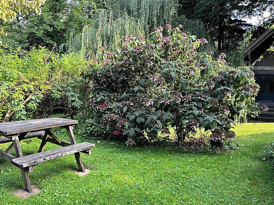 St Kew Escapes Nr Port Isaac