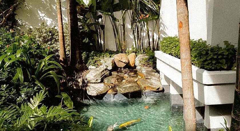 Townhouse PK Garden