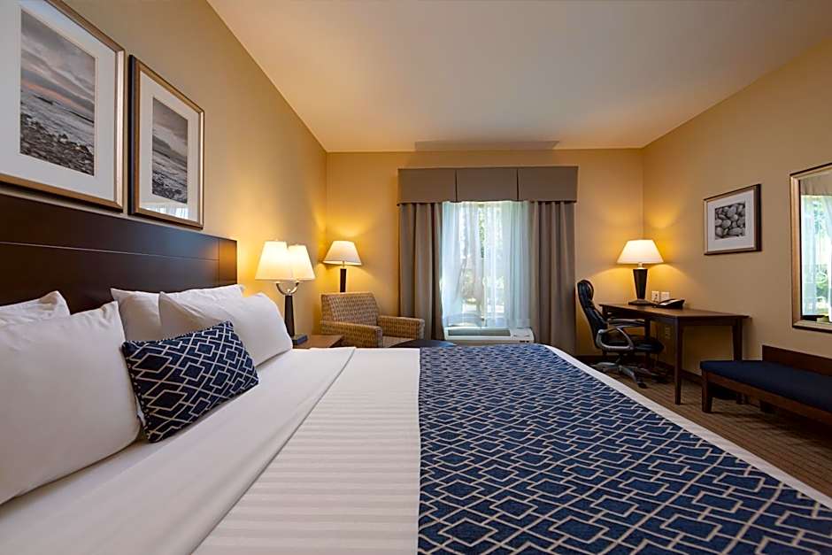 Photo 1 of 14 of 1 King Bed, Accessible