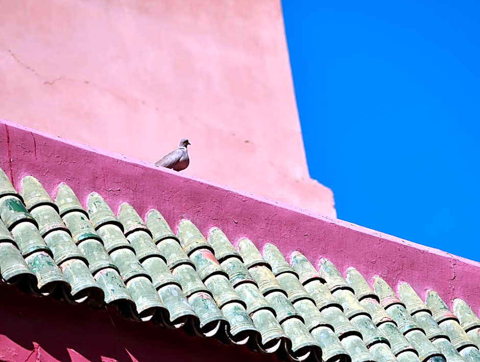 Riad L'Aziza