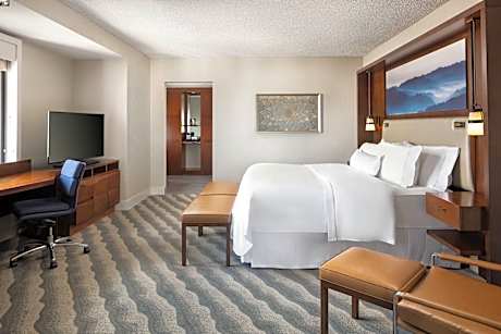 Rose, 1 Bedroom Suite, 1 King, Sofa bed
