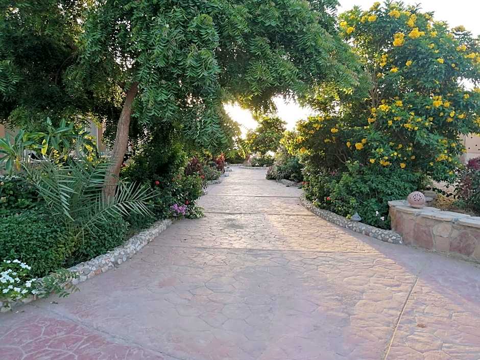 Silver Beach Boutique Hotel