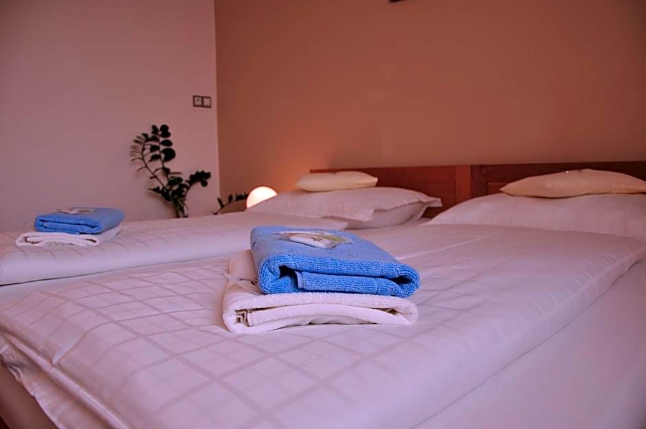Hotel Lions Plzen