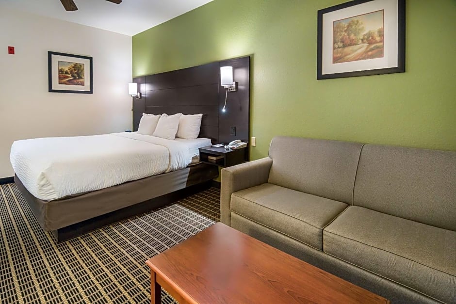 Clarion Inn & Suites Weatherford South