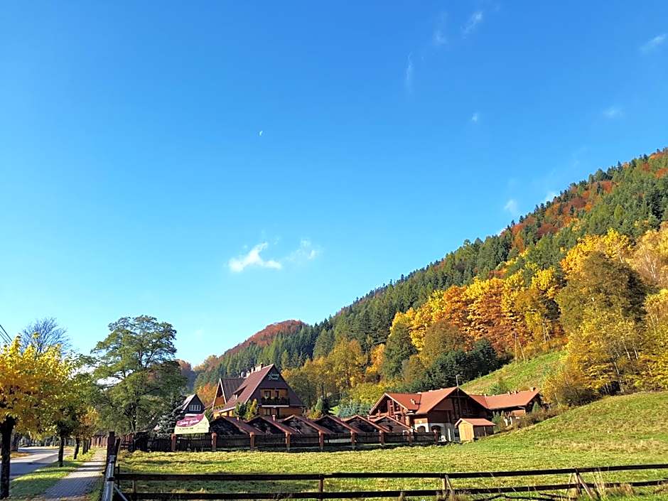 Rezydencja Leśny Dwór