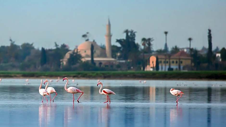 Hotel Indigo Larnaca By IHG- Adults Only