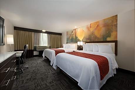 One-Bedroom Suite with Two Queen Beds