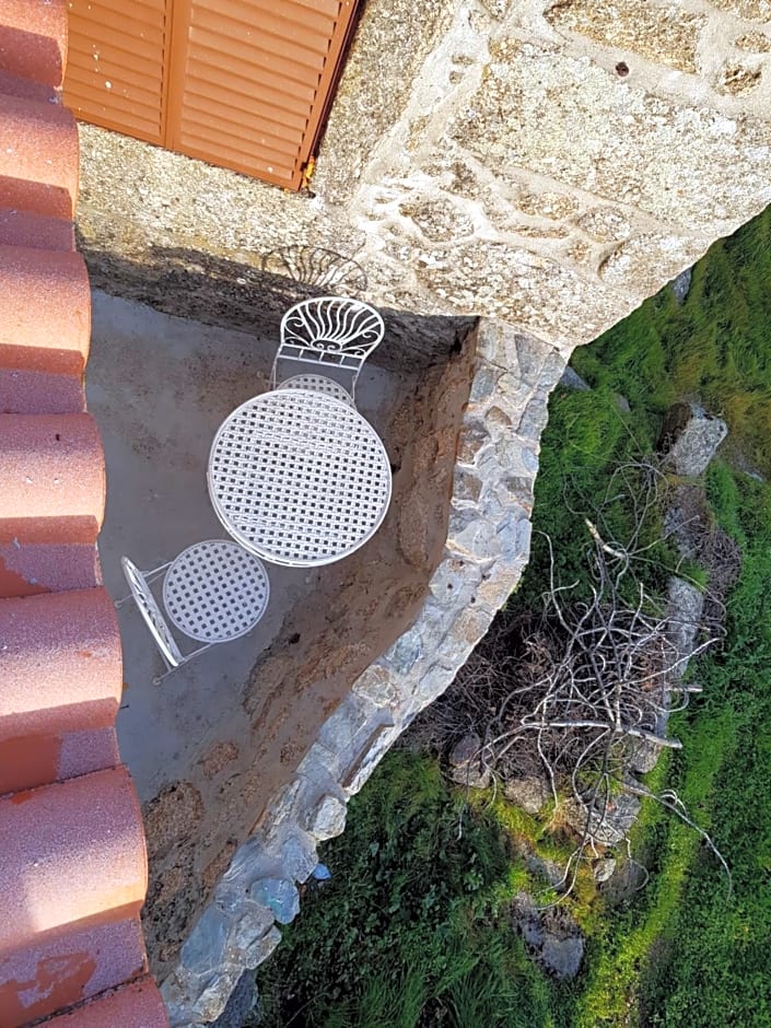 Branca Gonçalves Belmonte