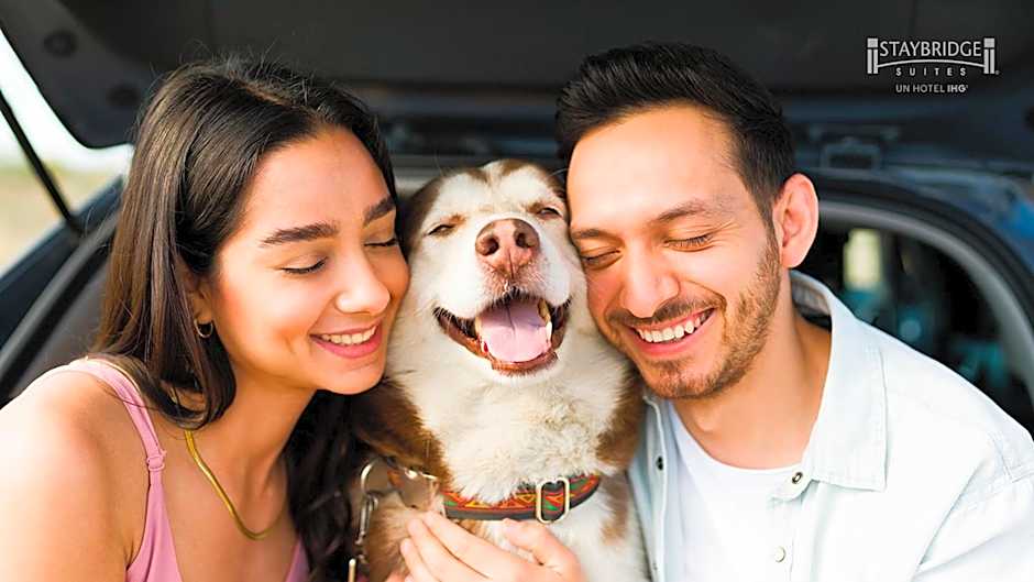 Staybridge Suites Irapuato By IHG