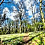 Domaine de Fresnoy