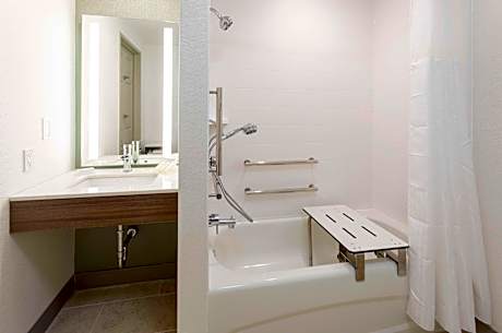 1Kng 1Bdrm Mobility Access Bathtub