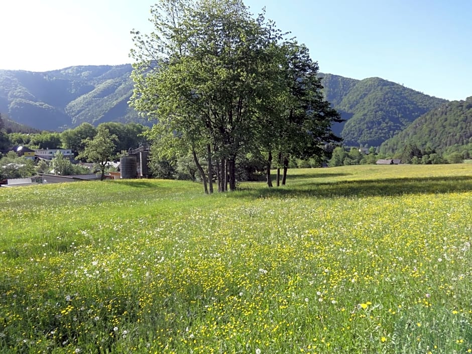 Frühstückspension Irmer