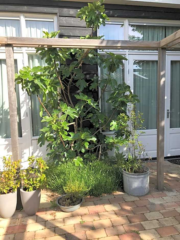 B&B Zee van Tijd Domburg