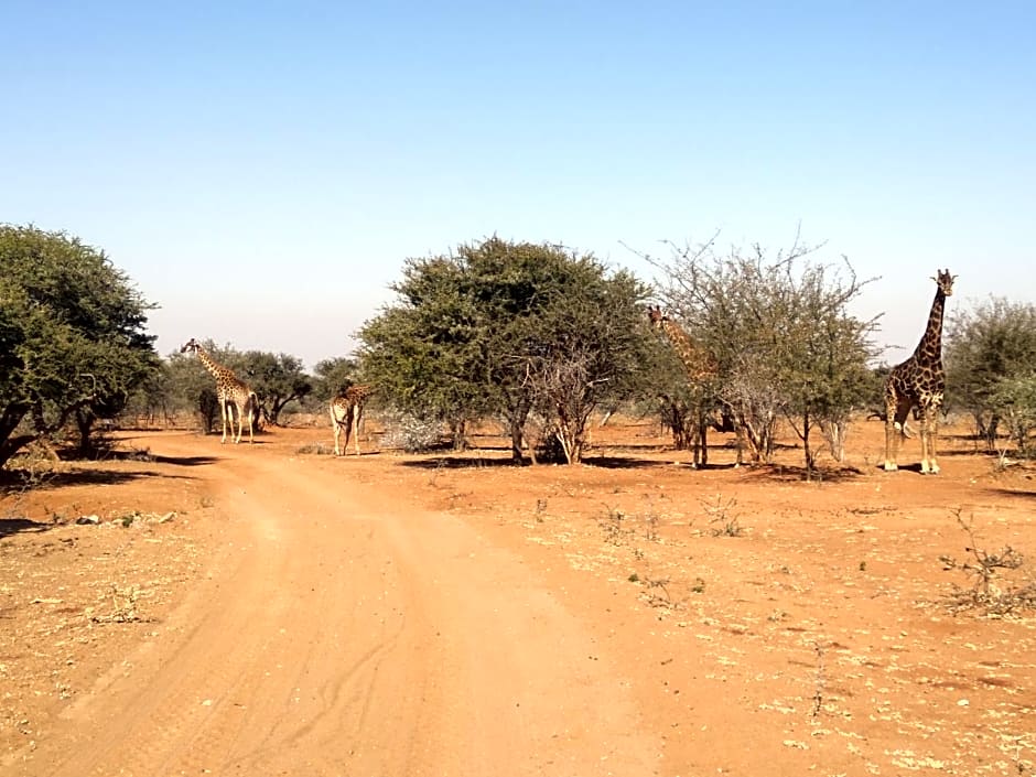 KweKwe Private Game Lodge