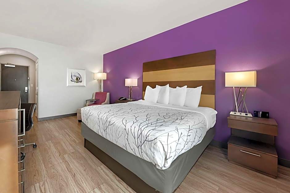 Best Western Plus Buda Austin Inn & Suites
