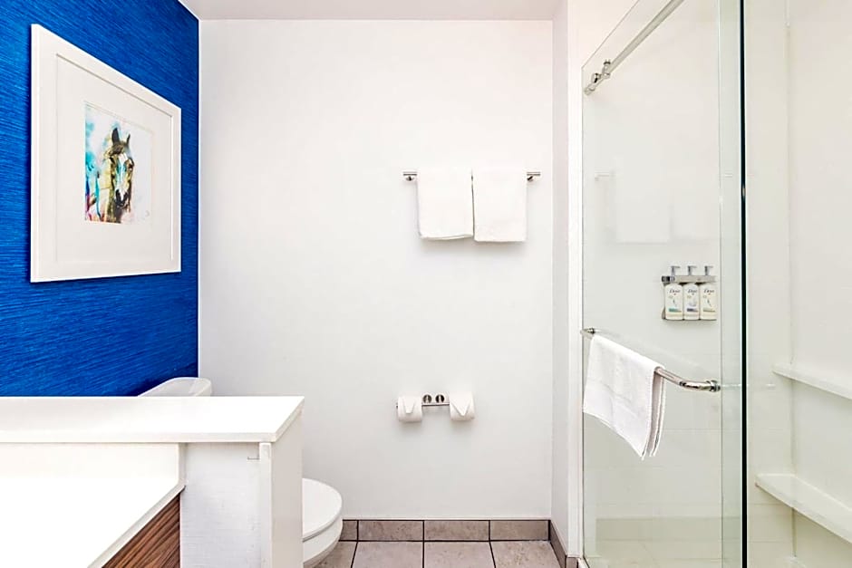 Holiday Inn Express & Suites Louisville Downtown By IHG