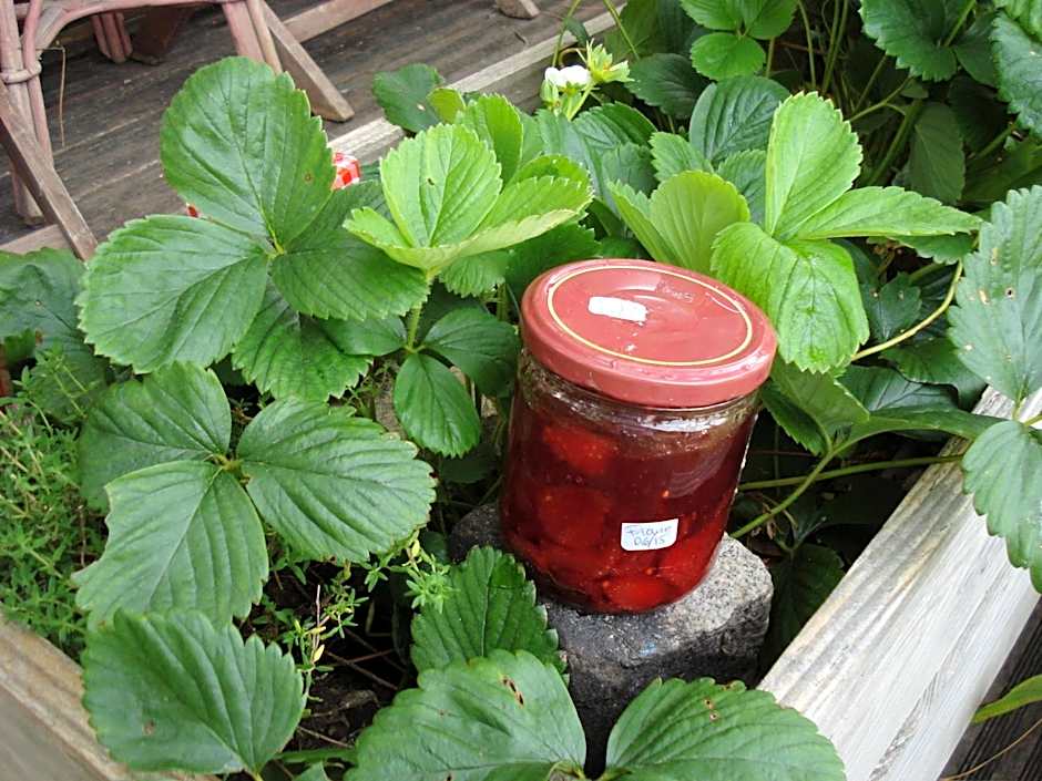 Le Relais de la Praya