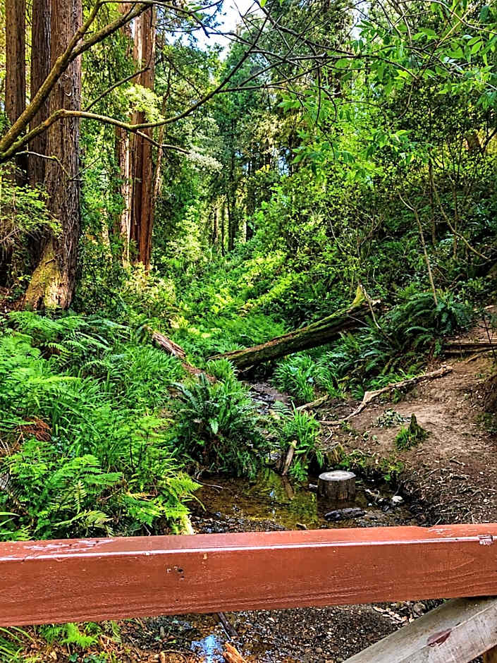 Seabird Lodge Fort Bragg