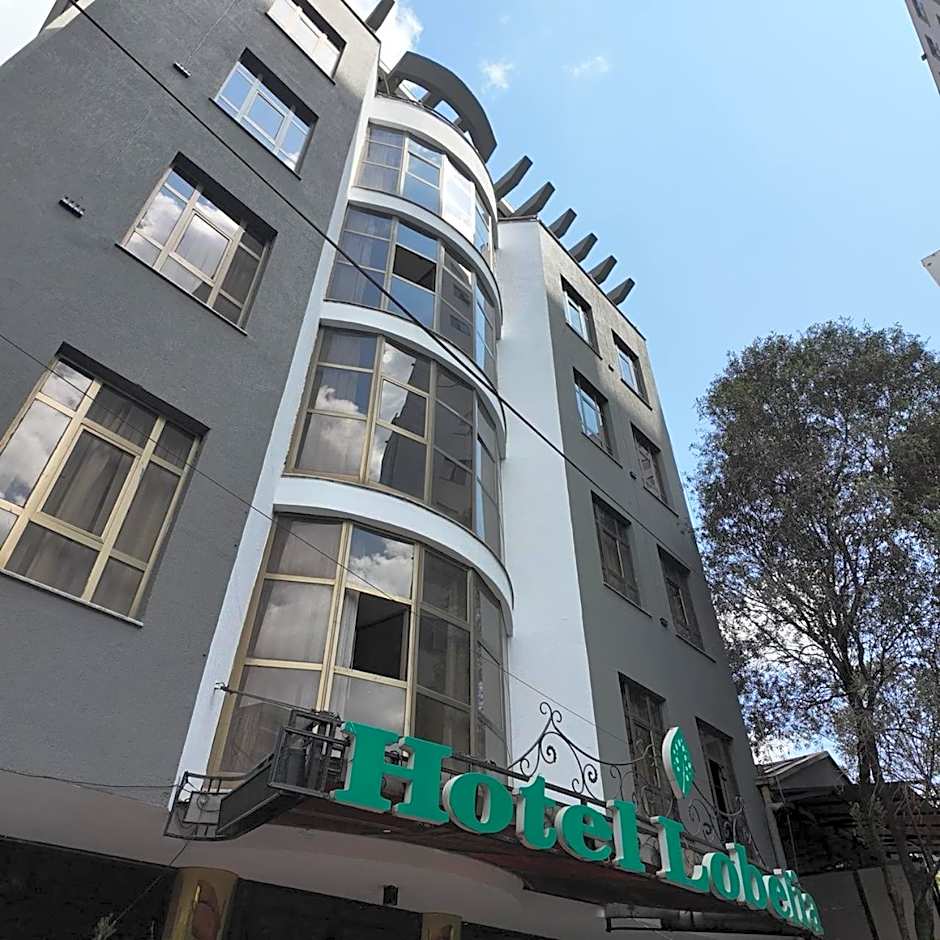 Hotel Lobelia