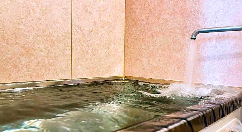 Gero-Onsen Business Hotel Fukiya